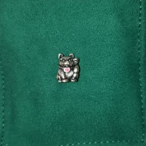 Pandora charm